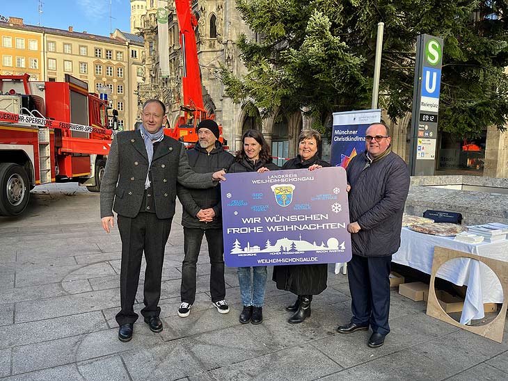 Aufstellung der sibirischen Weißtanne aus Hohenpeißenberg am 03.11.2022 auf dem Marienplatz (©Foto. Martin Schmitz)